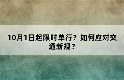 10月1日起限时单行？如何应对交通新规？
