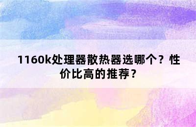 1160k处理器散热器选哪个？性价比高的推荐？