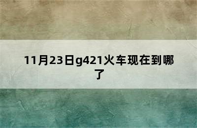 11月23日g421火车现在到哪了