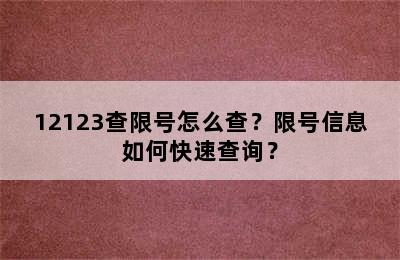 12123查限号怎么查？限号信息如何快速查询？
