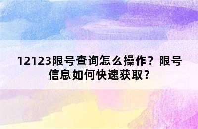 12123限号查询怎么操作？限号信息如何快速获取？
