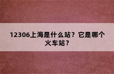 12306上海是什么站？它是哪个火车站？