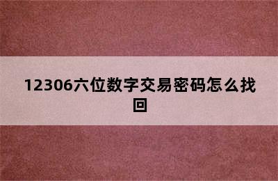 12306六位数字交易密码怎么找回