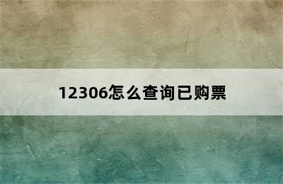 12306怎么查询已购票