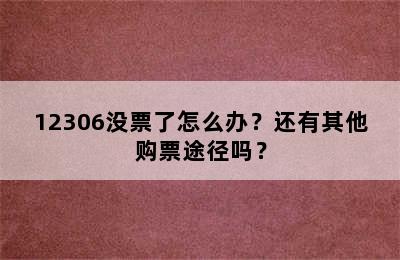 12306没票了怎么办？还有其他购票途径吗？