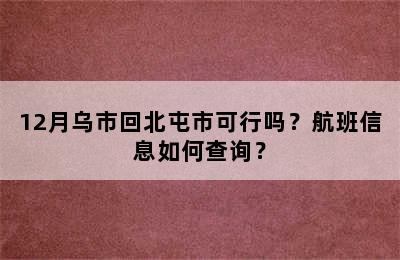 12月乌市回北屯市可行吗？航班信息如何查询？
