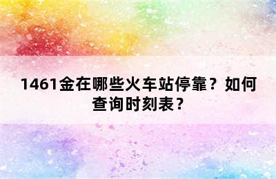 1461金在哪些火车站停靠？如何查询时刻表？