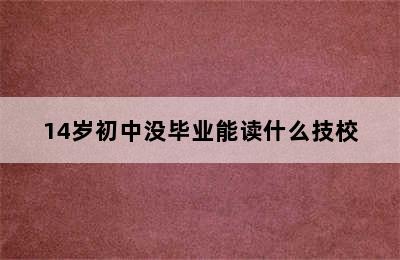 14岁初中没毕业能读什么技校