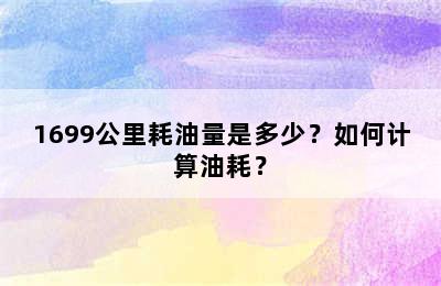 1699公里耗油量是多少？如何计算油耗？