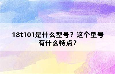 18t101是什么型号？这个型号有什么特点？