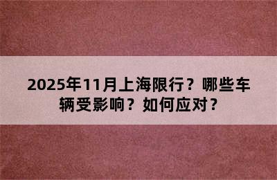 2025年11月上海限行？哪些车辆受影响？如何应对？