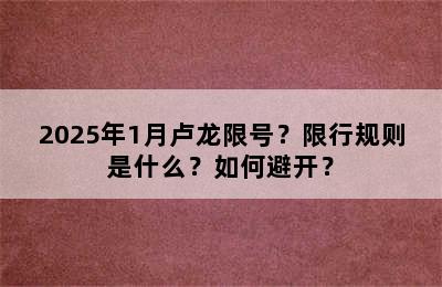 2025年1月卢龙限号？限行规则是什么？如何避开？