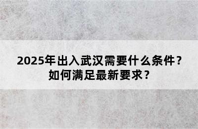 2025年出入武汉需要什么条件？如何满足最新要求？
