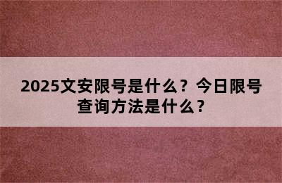 2025文安限号是什么？今日限号查询方法是什么？
