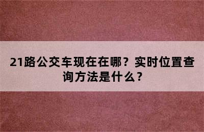 21路公交车现在在哪？实时位置查询方法是什么？