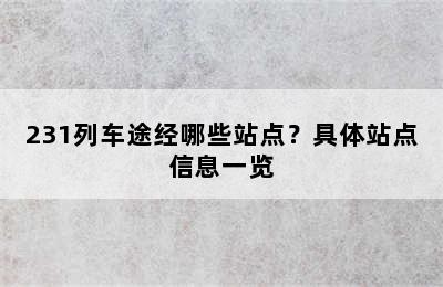 231列车途经哪些站点？具体站点信息一览