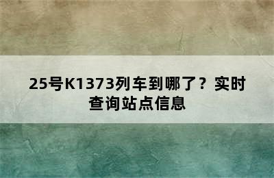 25号K1373列车到哪了？实时查询站点信息