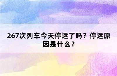 267次列车今天停运了吗？停运原因是什么？