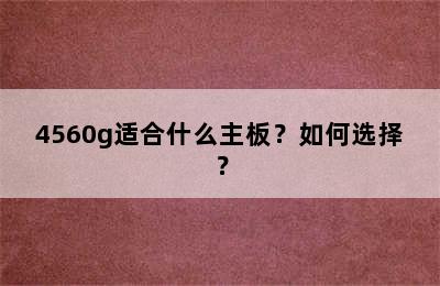4560g适合什么主板？如何选择？