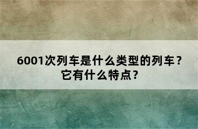 6001次列车是什么类型的列车？它有什么特点？