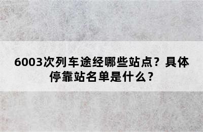 6003次列车途经哪些站点？具体停靠站名单是什么？