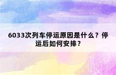 6033次列车停运原因是什么？停运后如何安排？