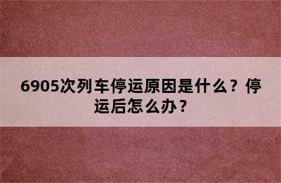 6905次列车停运原因是什么？停运后怎么办？