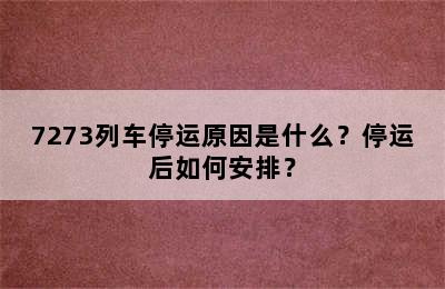 7273列车停运原因是什么？停运后如何安排？