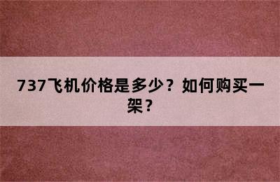 737飞机价格是多少？如何购买一架？
