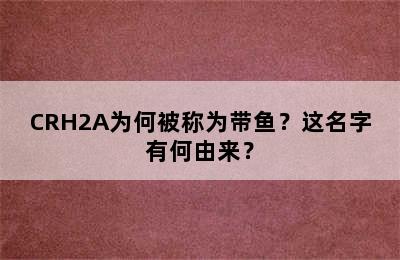 CRH2A为何被称为带鱼？这名字有何由来？