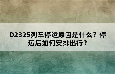 D2325列车停运原因是什么？停运后如何安排出行？
