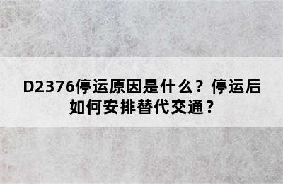 D2376停运原因是什么？停运后如何安排替代交通？