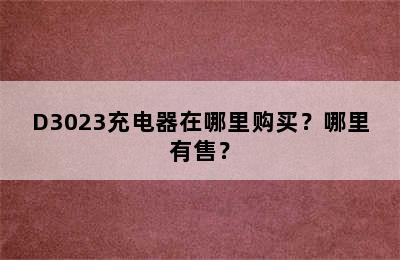 D3023充电器在哪里购买？哪里有售？