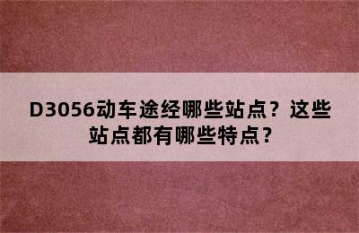 D3056动车途经哪些站点？这些站点都有哪些特点？