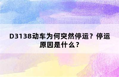 D3138动车为何突然停运？停运原因是什么？