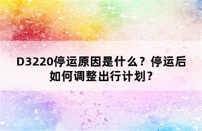 D3220停运原因是什么？停运后如何调整出行计划？