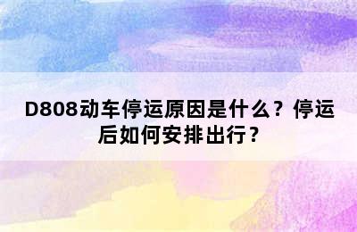 D808动车停运原因是什么？停运后如何安排出行？