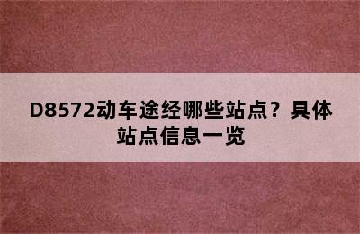 D8572动车途经哪些站点？具体站点信息一览