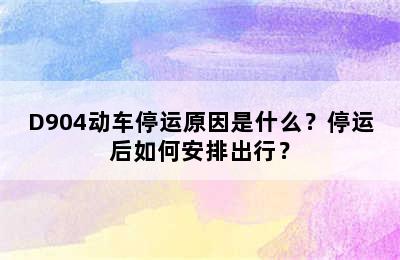 D904动车停运原因是什么？停运后如何安排出行？