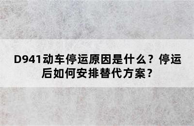 D941动车停运原因是什么？停运后如何安排替代方案？