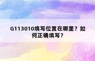 G113010填写位置在哪里？如何正确填写？