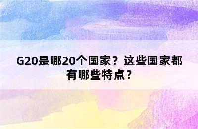 G20是哪20个国家？这些国家都有哪些特点？