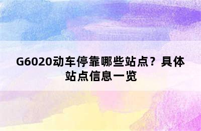 G6020动车停靠哪些站点？具体站点信息一览