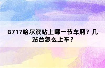 G717哈尔滨站上哪一节车厢？几站台怎么上车？