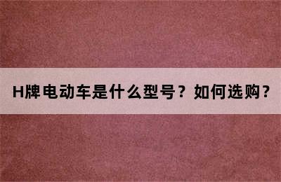 H牌电动车是什么型号？如何选购？