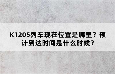 K1205列车现在位置是哪里？预计到达时间是什么时候？
