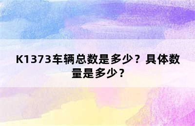 K1373车辆总数是多少？具体数量是多少？