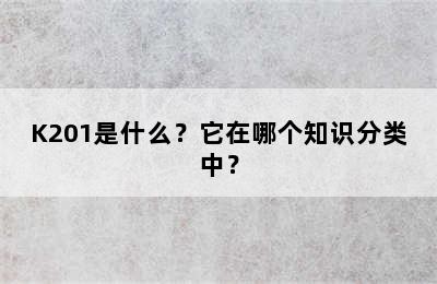 K201是什么？它在哪个知识分类中？