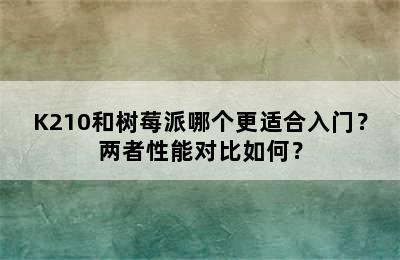 K210和树莓派哪个更适合入门？两者性能对比如何？