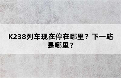 K238列车现在停在哪里？下一站是哪里？